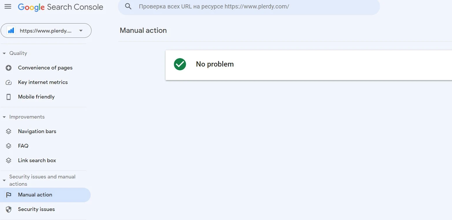 Technical SEO checklist-0133 Any manual actions