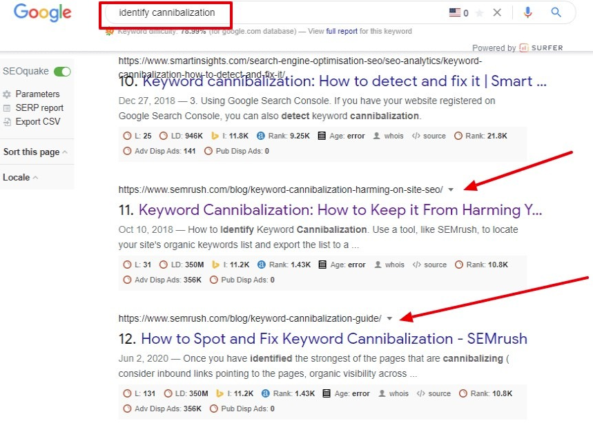 Technical SEO checklist-0021 Any signs of keyword cannibalization?