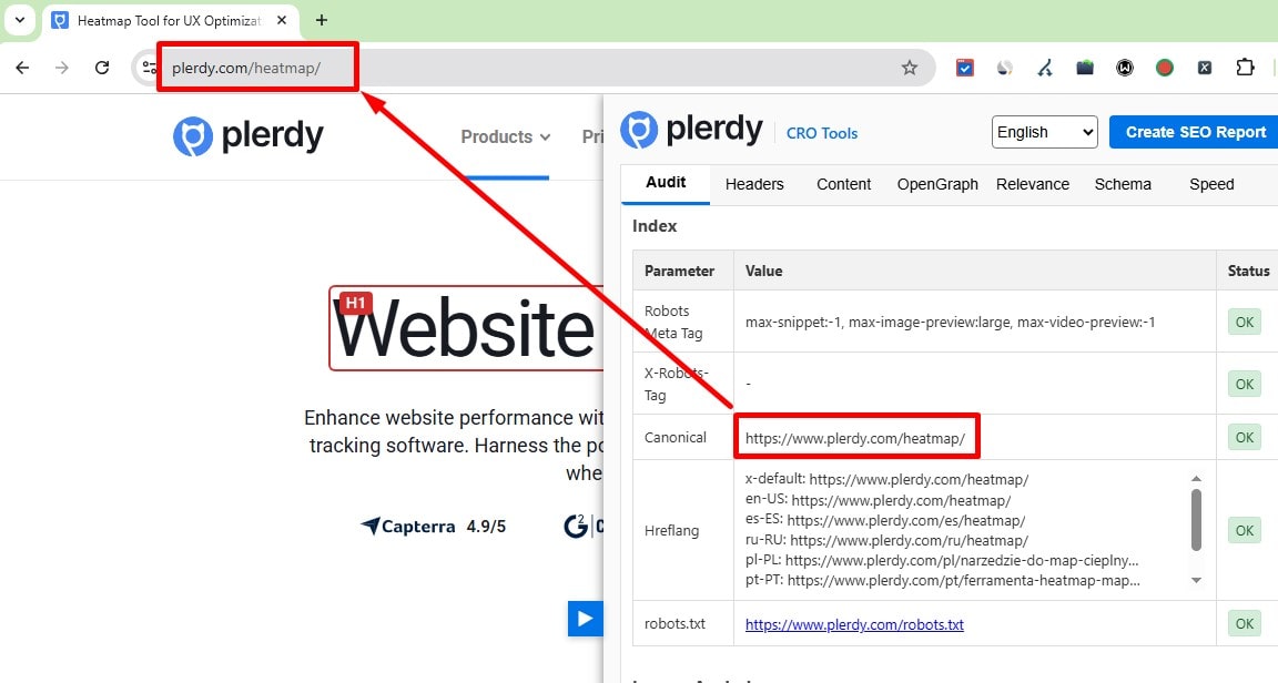 Technical SEO checklist-0009 Content is available at a single, canonicalized URL