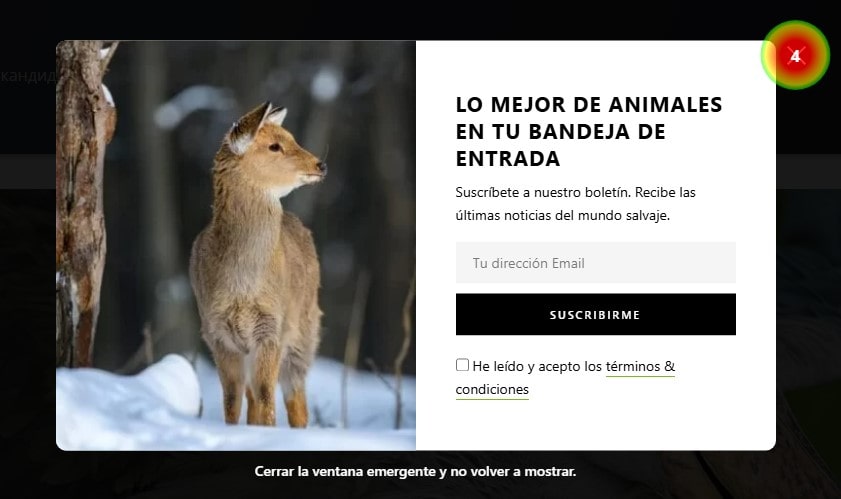 Jak wykorzystać mapy ciepła w analityce internetowej - 0006